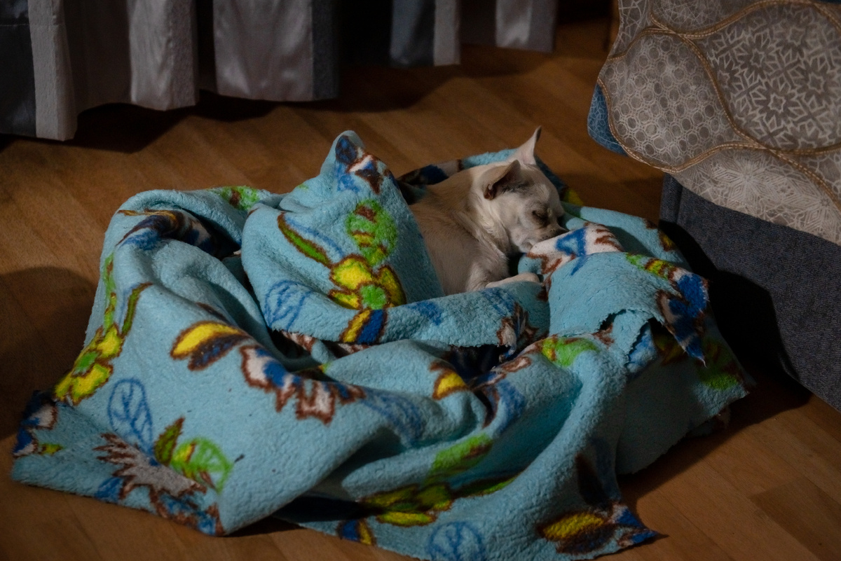 Пока не включили отопление...