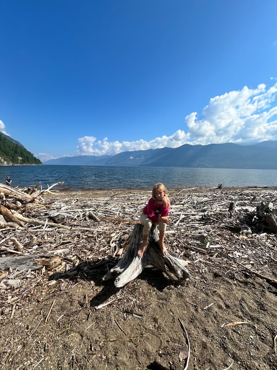 Юг Телецкого озера, фото атора