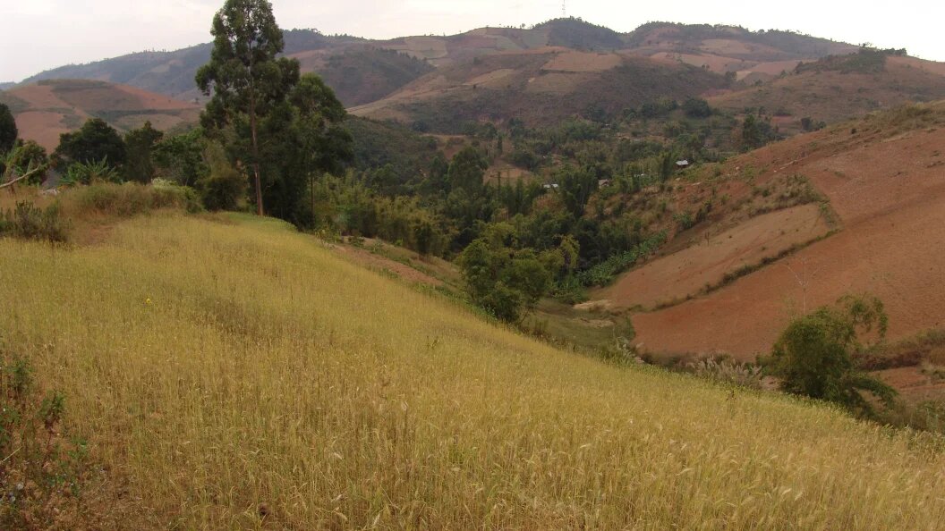    © Vladimir Snatenkov/Globallookpress