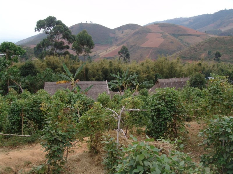    фото: © Vladimir Snatenkov/globallookpress