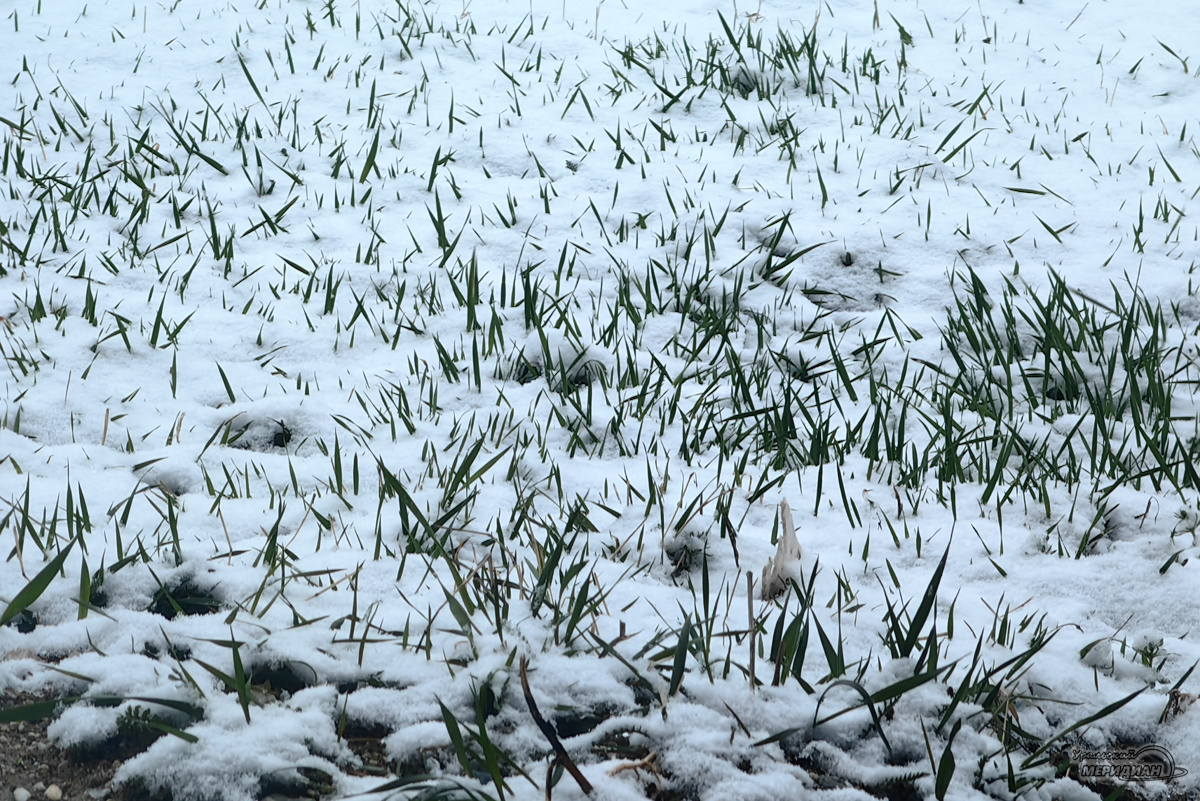    Фото: © ИА «Уральский меридиан»