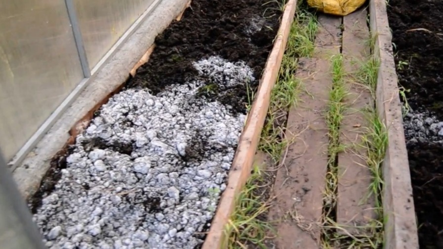 Три надежных метода осенней дезинфекции теплицы. Минимизируем риск фитофторы на 95%