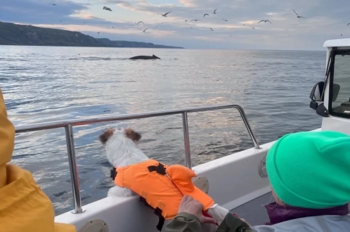    Природа впереди экономики.