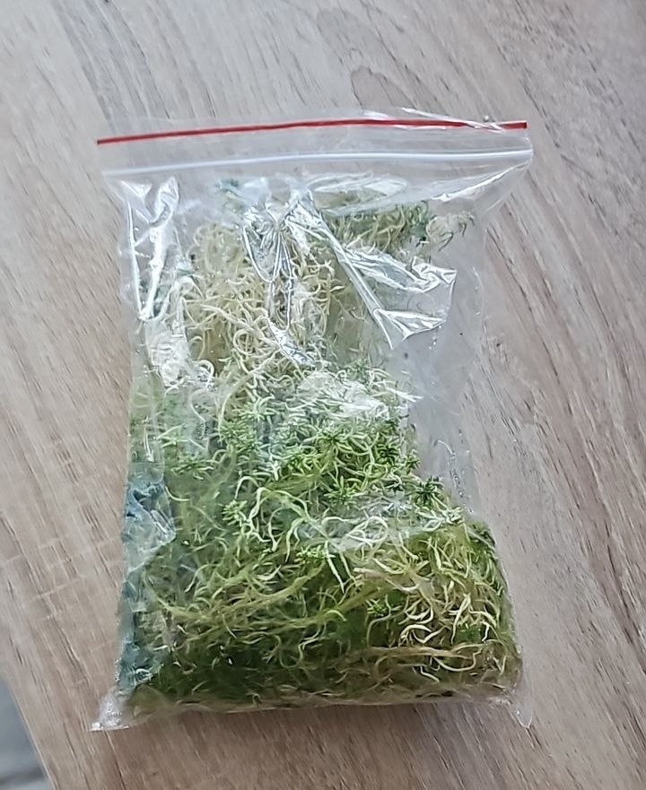 Остатки мха с маркетплейса. Покупала пару месяцев назад, храню в холодильнике. Качества свои не потерял, может чуть пожух, но не критично