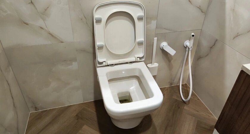    Только в 40 лет поняла, почему нельзя смывать туалетную бумагу в унитаз: вот, в чем проблема