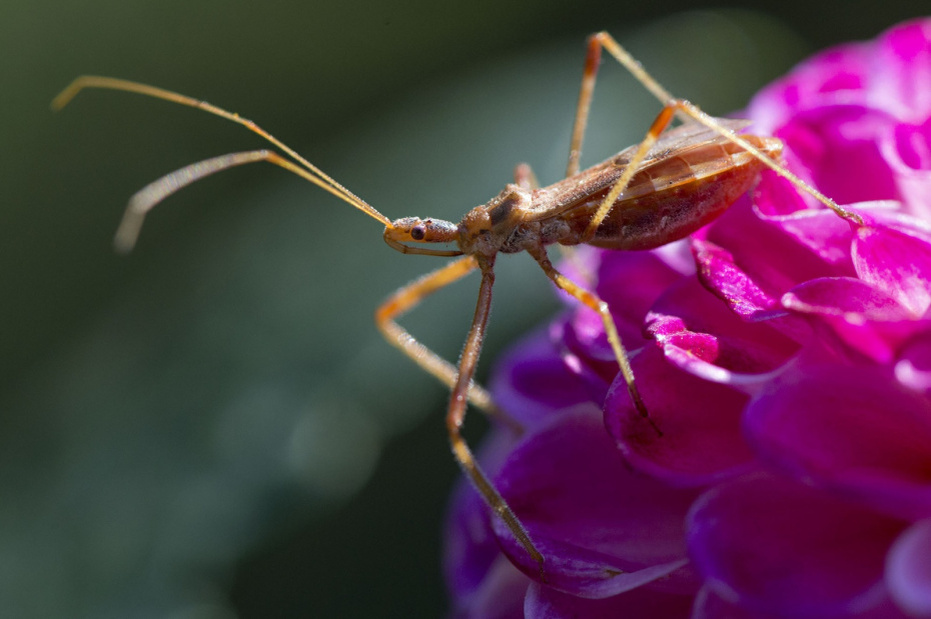    Robin Loznak/ZUMAPRESS/Global Look Press