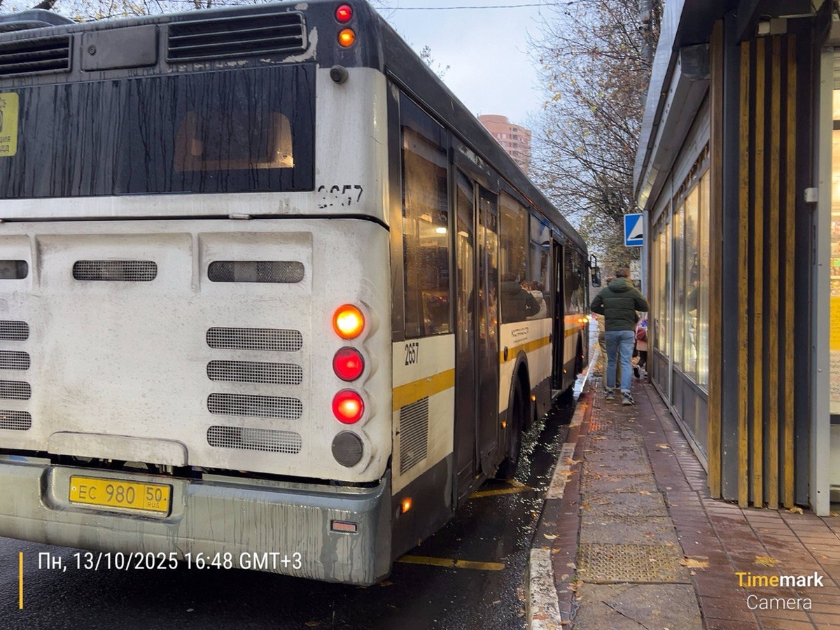 Остановка "Поликлинника" в сторону станции "Химки". Фото автора.