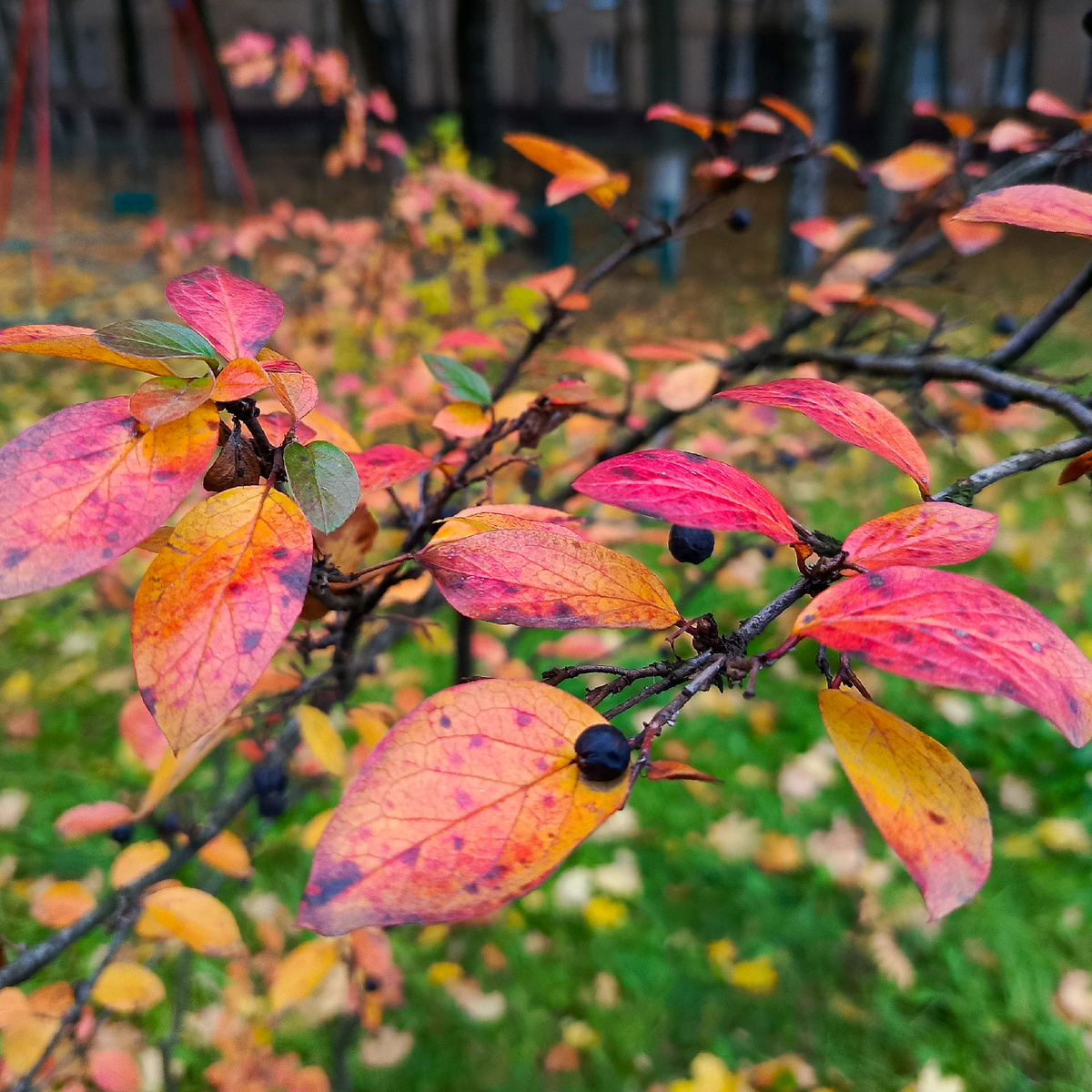 Фото авторское