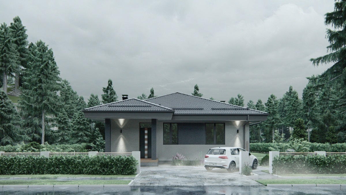 Визуализация Вид 1