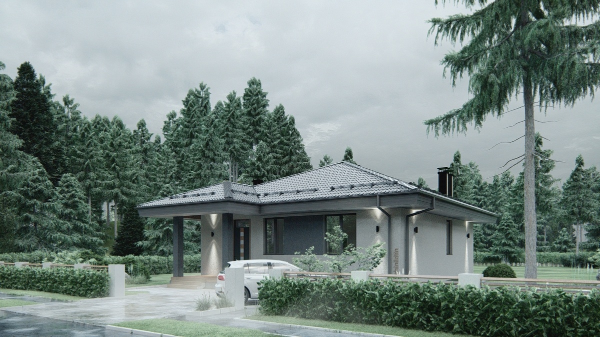 Визуализация Вид 2