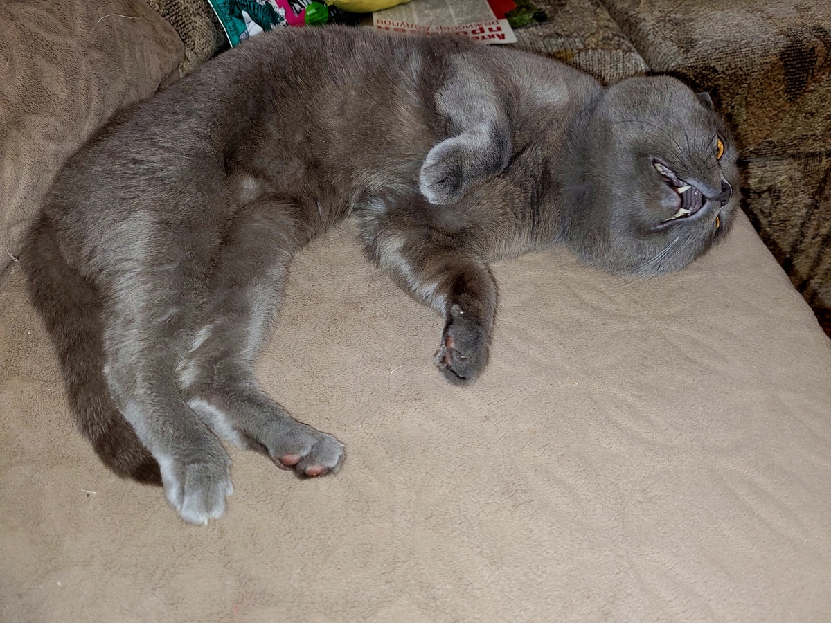 Мама - я хороший)))