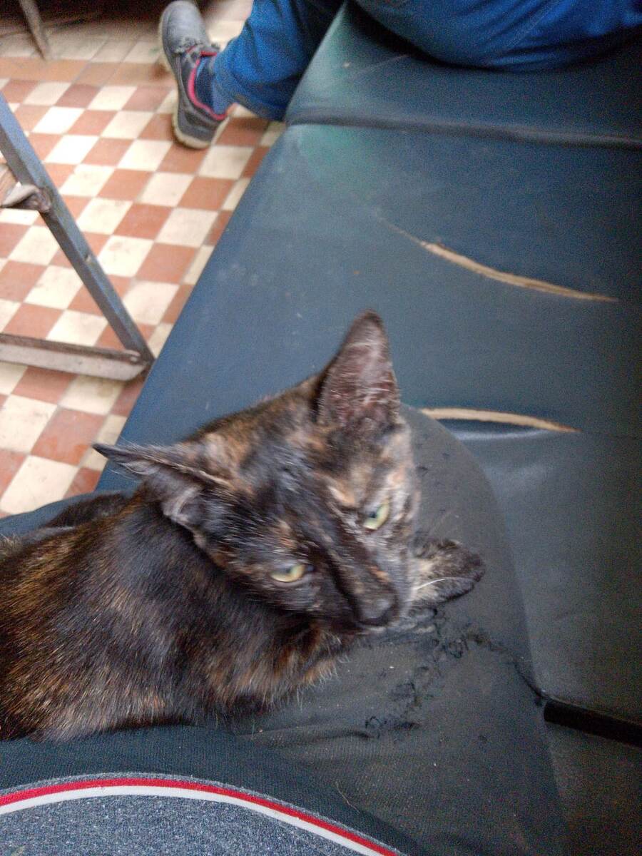 Назвали Фроська! ( а хотели Фубля 🤣)