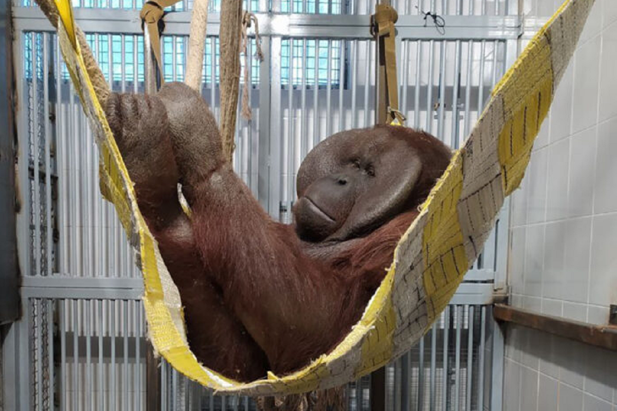    Фото: пресс-служба, источник: сайт губернатора и правительства Пермского края