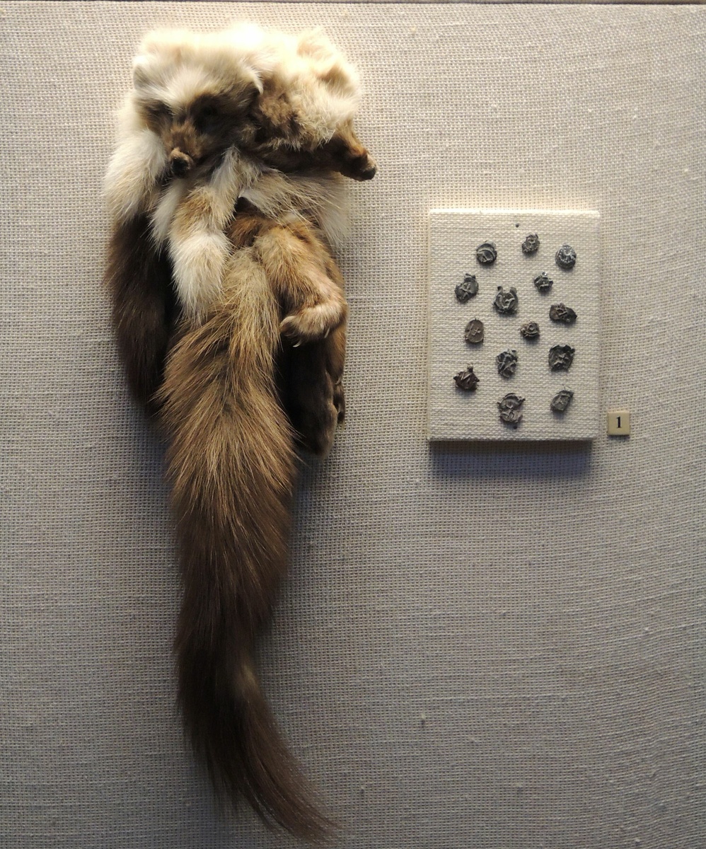 
Источник: ru.wikipedia.org