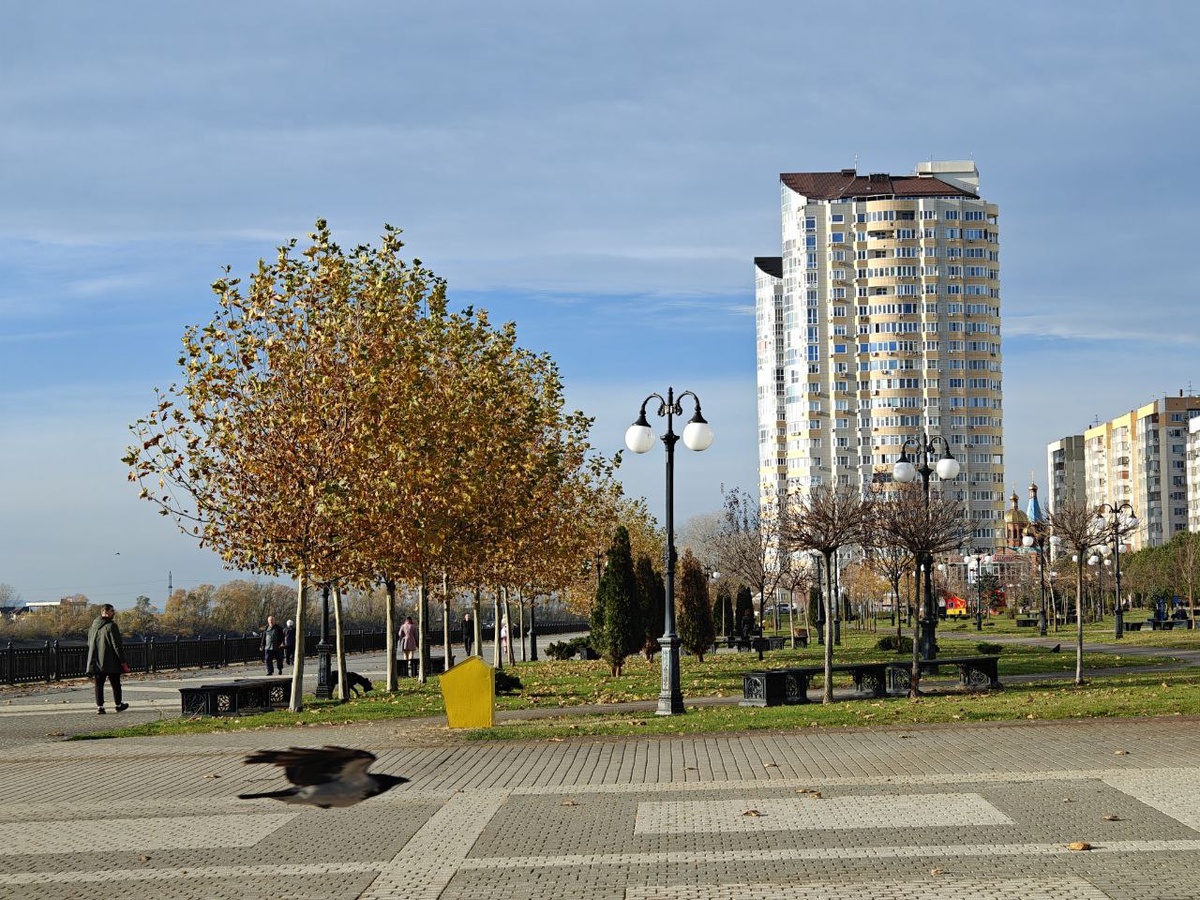    Фото: Юрий Серебренников/BFM Кубань