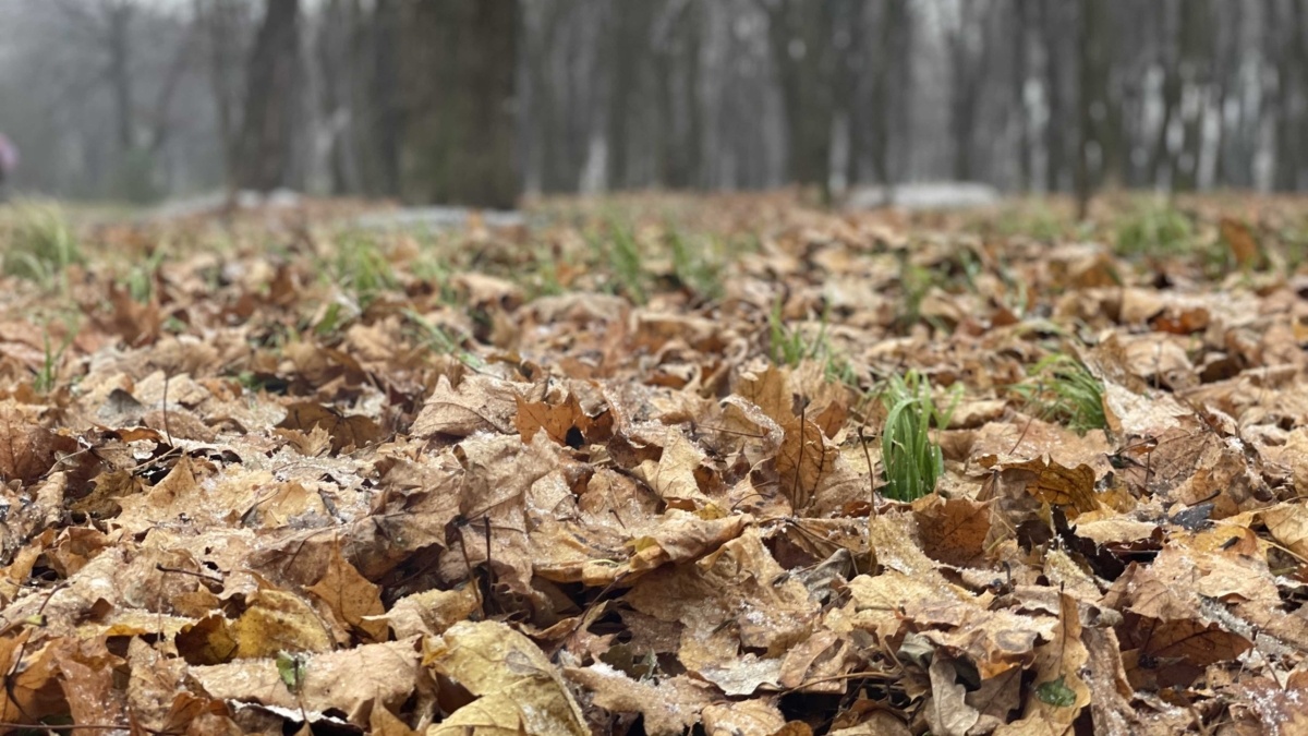ИА «Тульская пресса»📷
