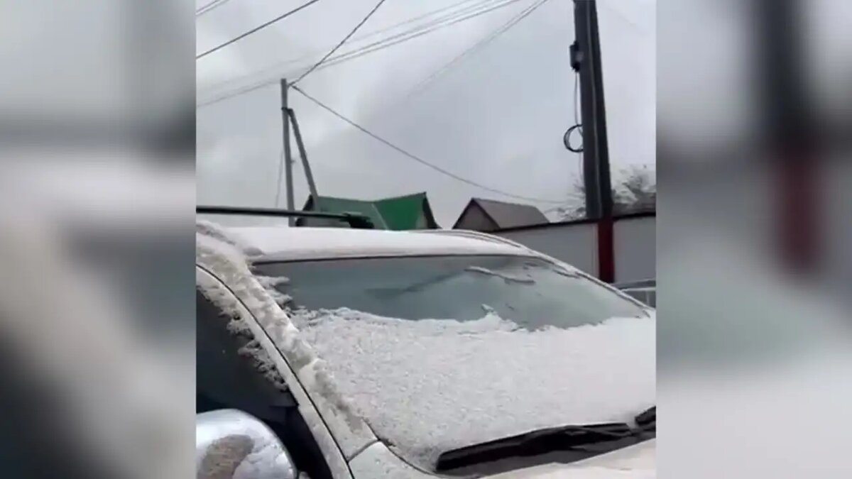     © ТГ-канал "ЧП 124"