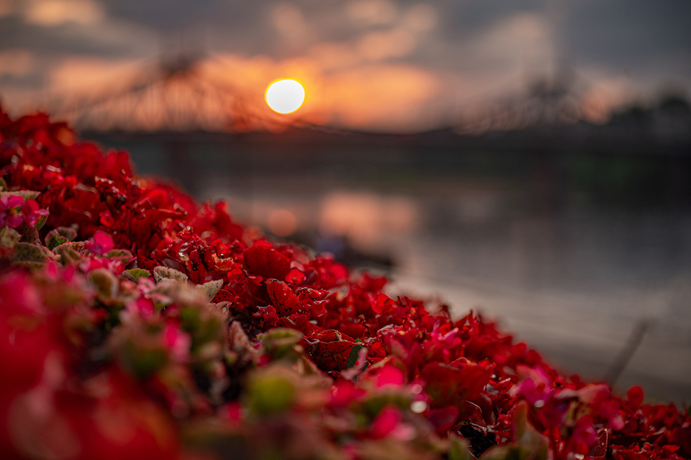 Погода в Твери 8 октября. Безветренно