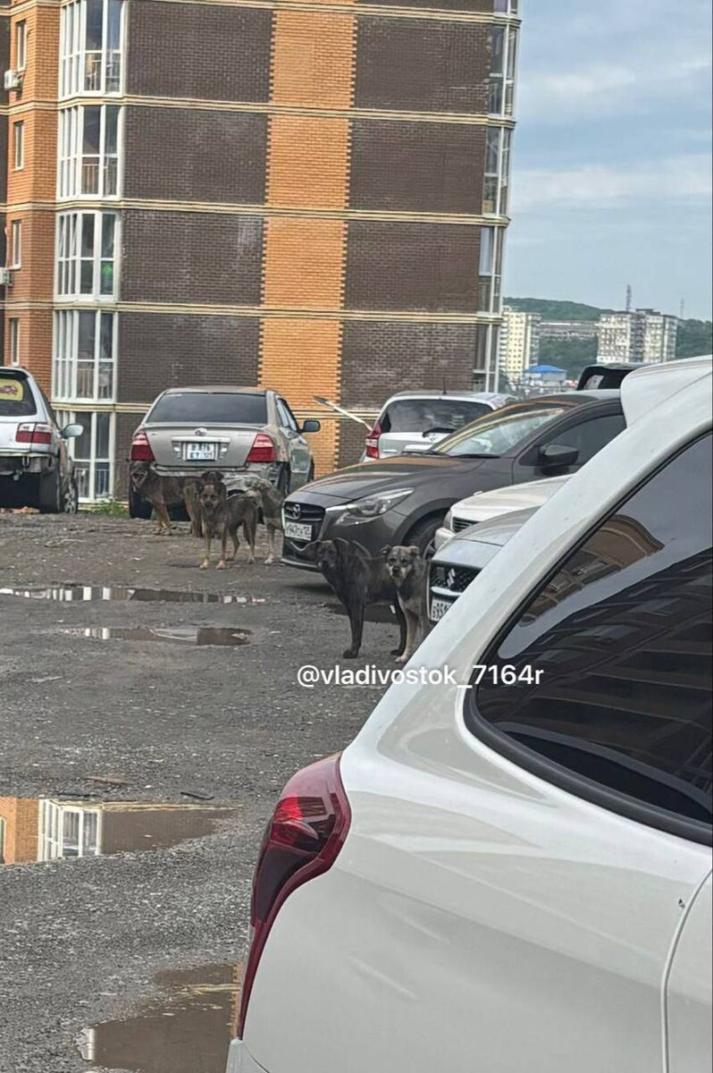    Источник фото: 71 и 64 микрорайон и не только