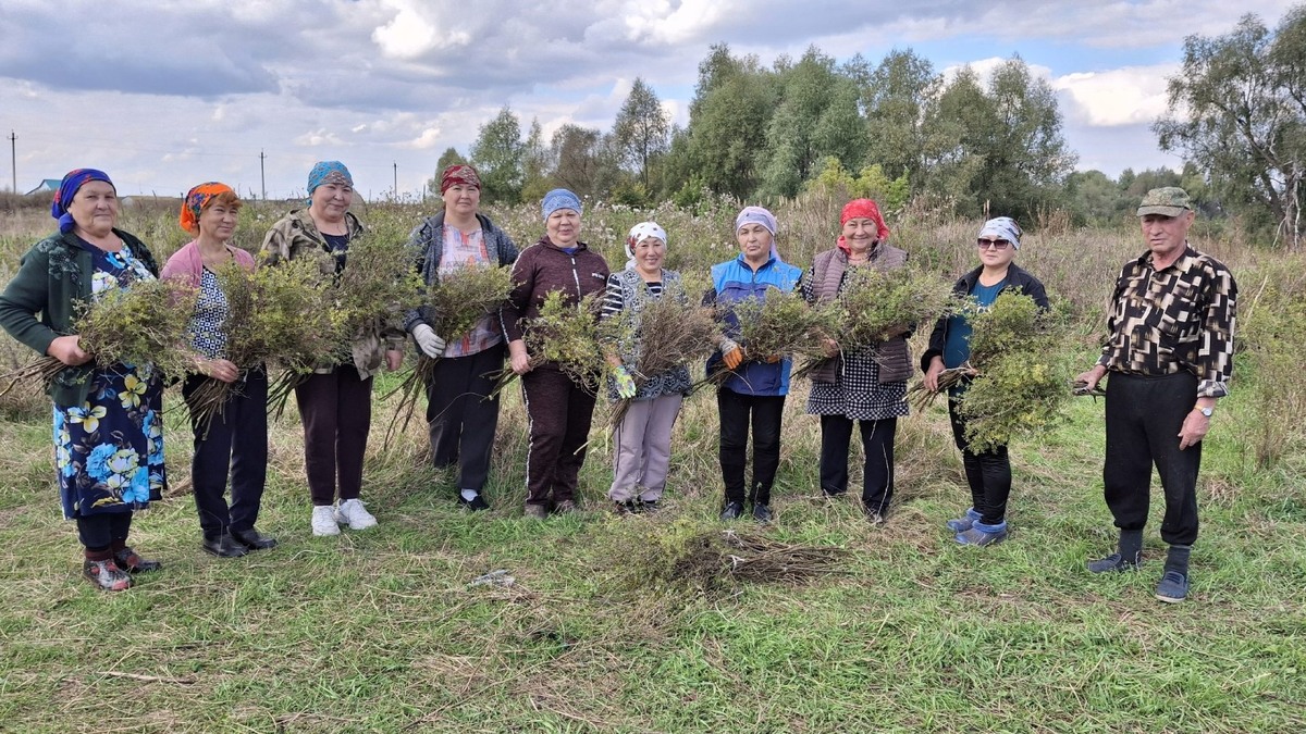 Фото: sterlibash-rdk.ru