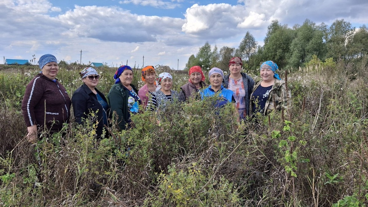 Фото: sterlibash-rdk.ru