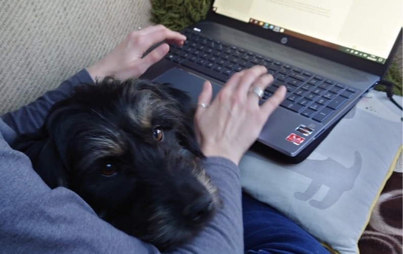 Для обложки