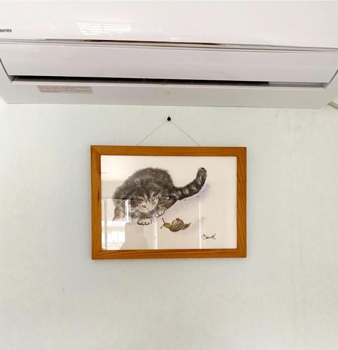 Котик и улитка. Рисунок Ольги Сюмиот.