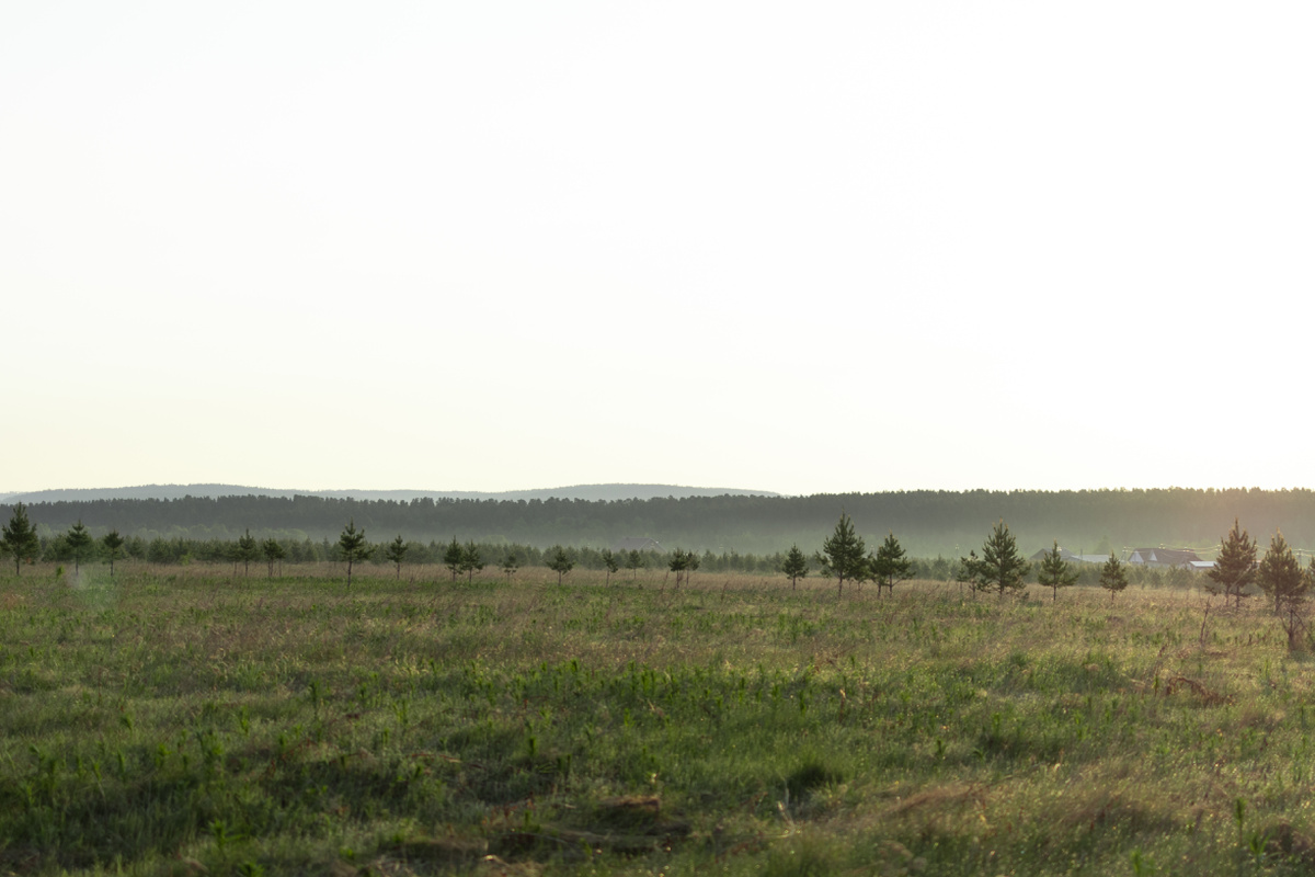 В итоговой стоимости дома  порядка 30% приходится на земельный участок