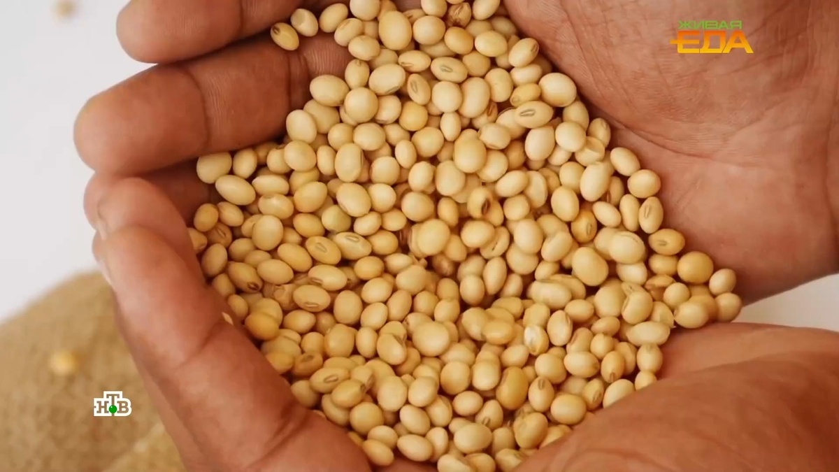    Почему кофе на соевом молоке опасен для аллергиков