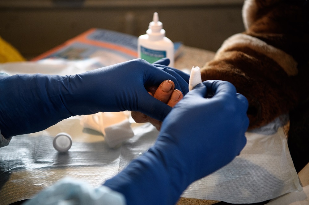 Фото: Донат Сорокин/ТАСС