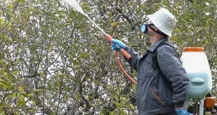 Обработка сада осенью. Фото из открытых источников