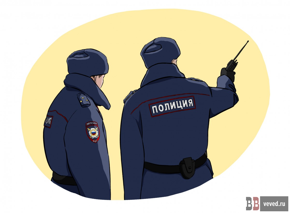     Иллюстрация: Андрей Гоголев / Вечерние ведомости