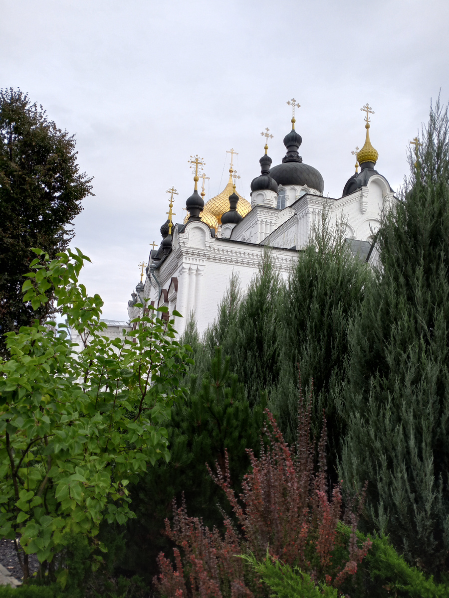 Богоявленско-Анастасиин монастырь.