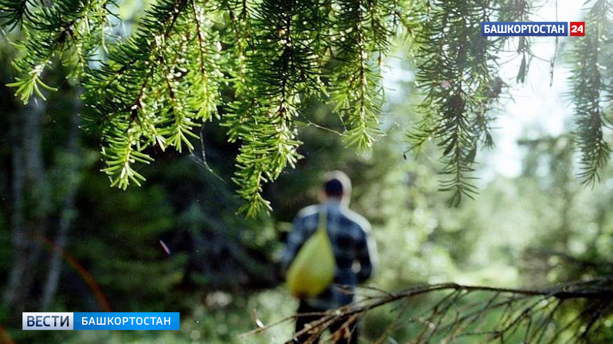    В лесах Зианчуринского района Башкирии ведутся поиски пропавшего мужчины