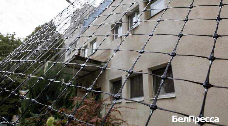 Фото: Павел Колядин (архив)