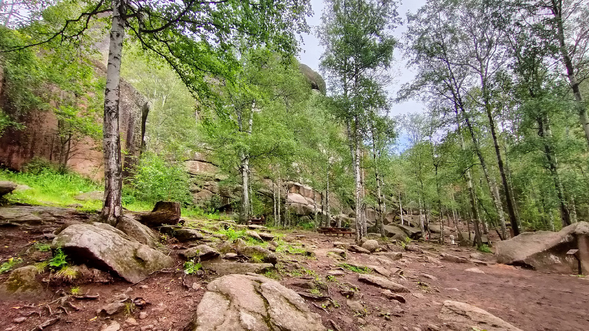 Фото: Сиб.фм