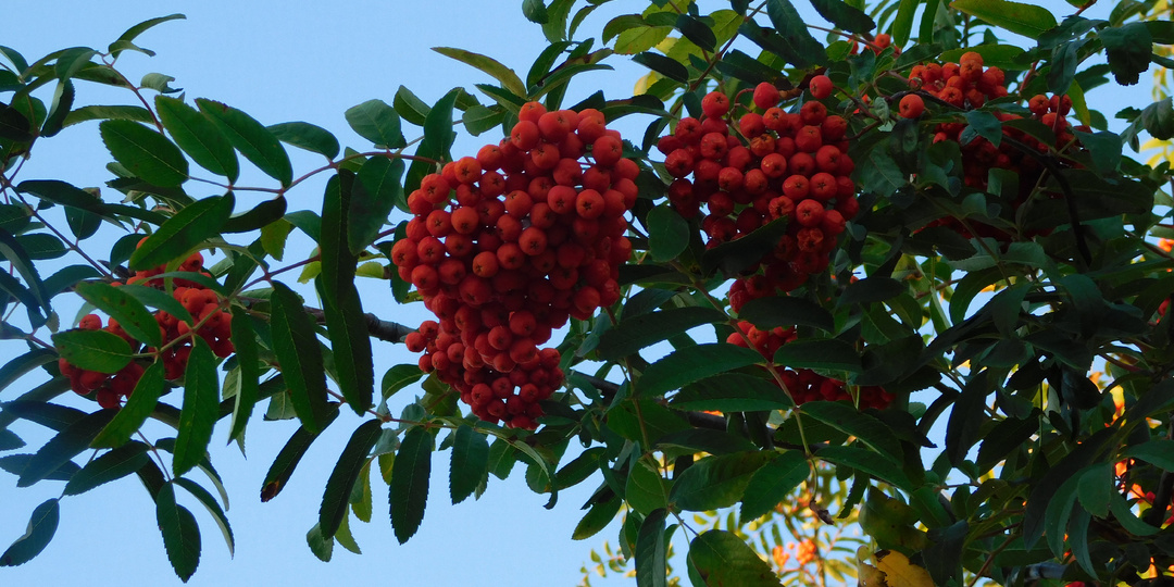 Дом у реки (часть 34 )