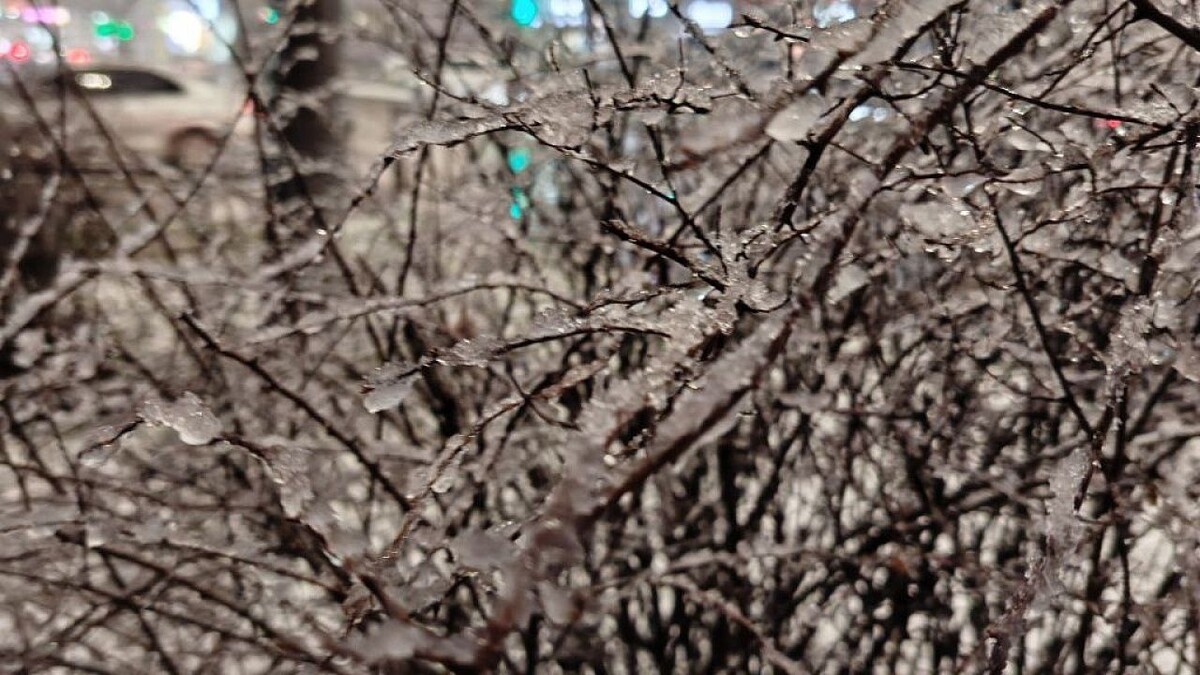    Фото: телеканал «Краснодар»