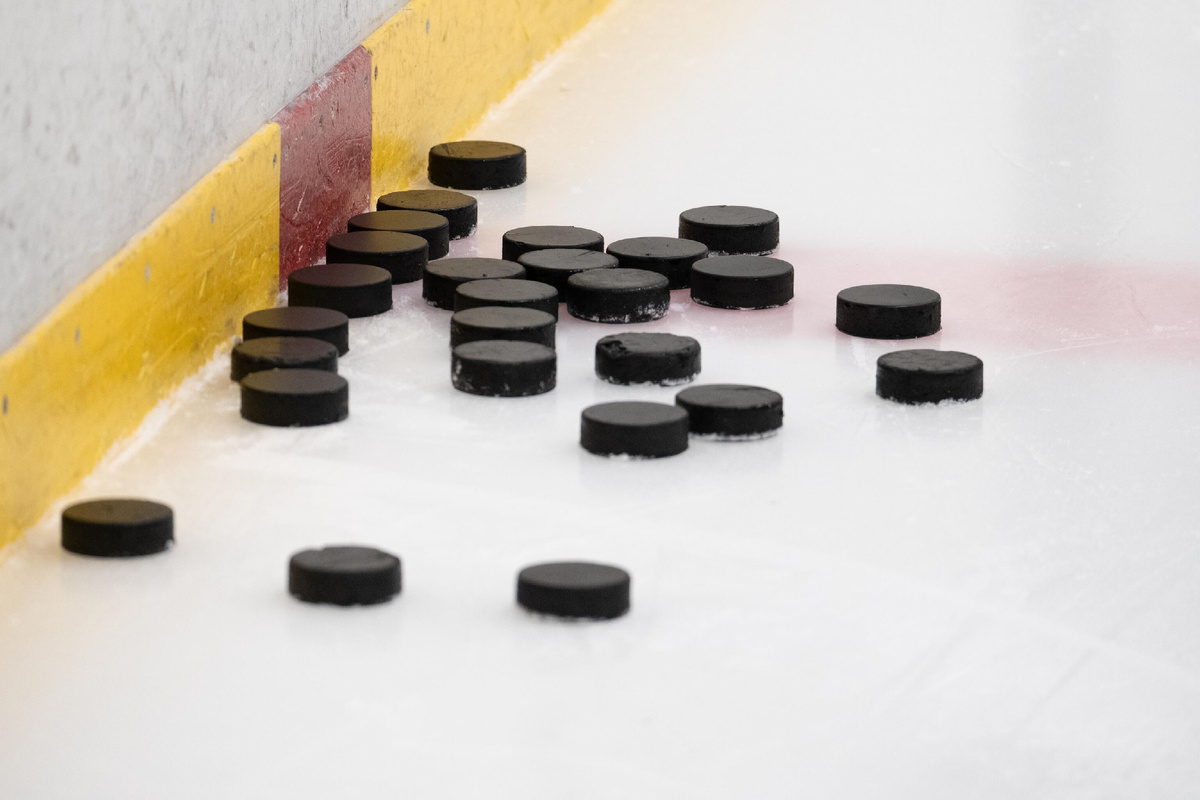 © CC BY-SA 2.0 / Saeima / Reinis Inkēns