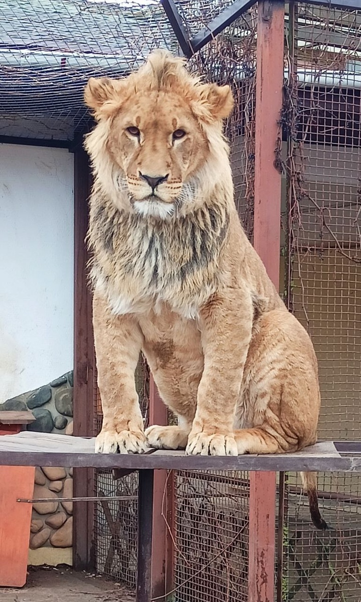 Фото: Минский Зоопарк