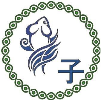 КРЫСА (1948, 1960, 1972, 1984, 1996, 2008, 2020)