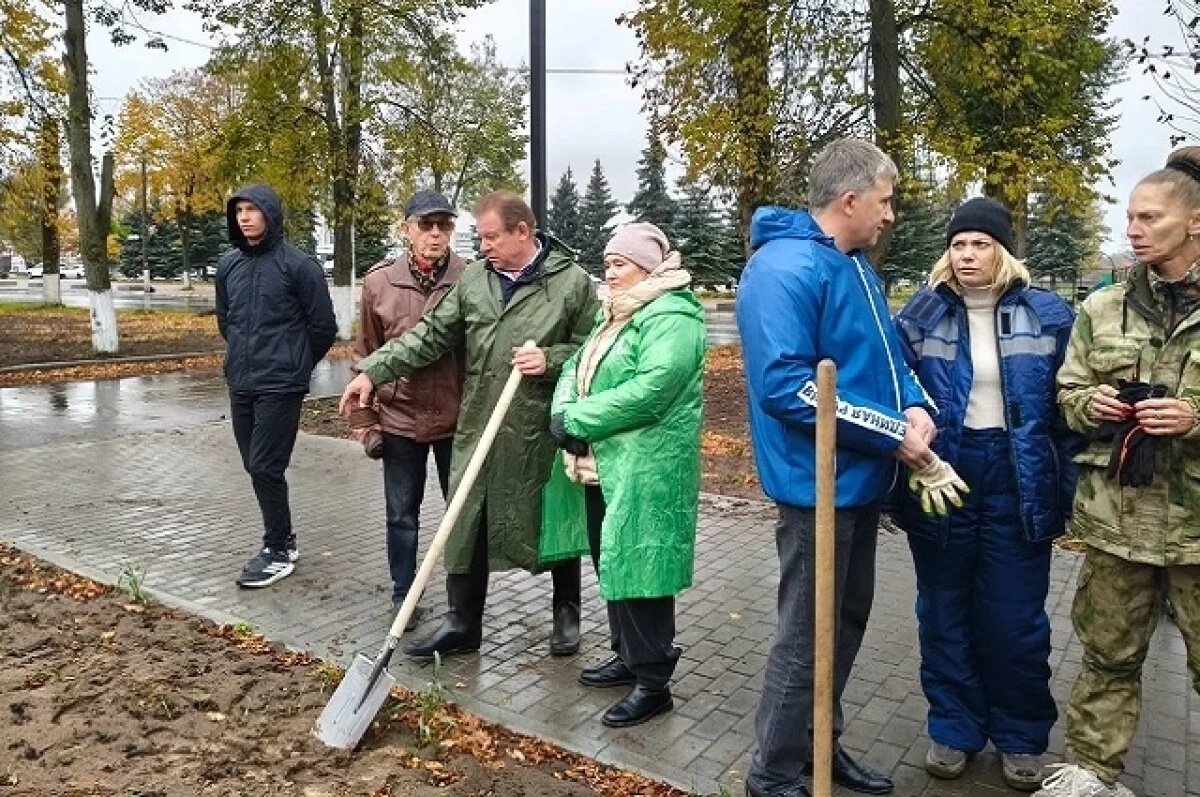    В Гусь-Хрустальном преображается сквер возле городского озера