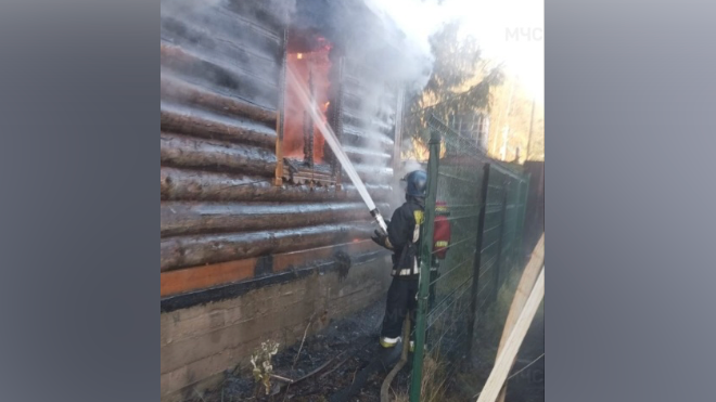 Фото: Пресс-служба ГУ МЧС России по Ленинградской области