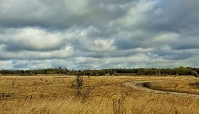 Иллюстрация: © «Панорама»