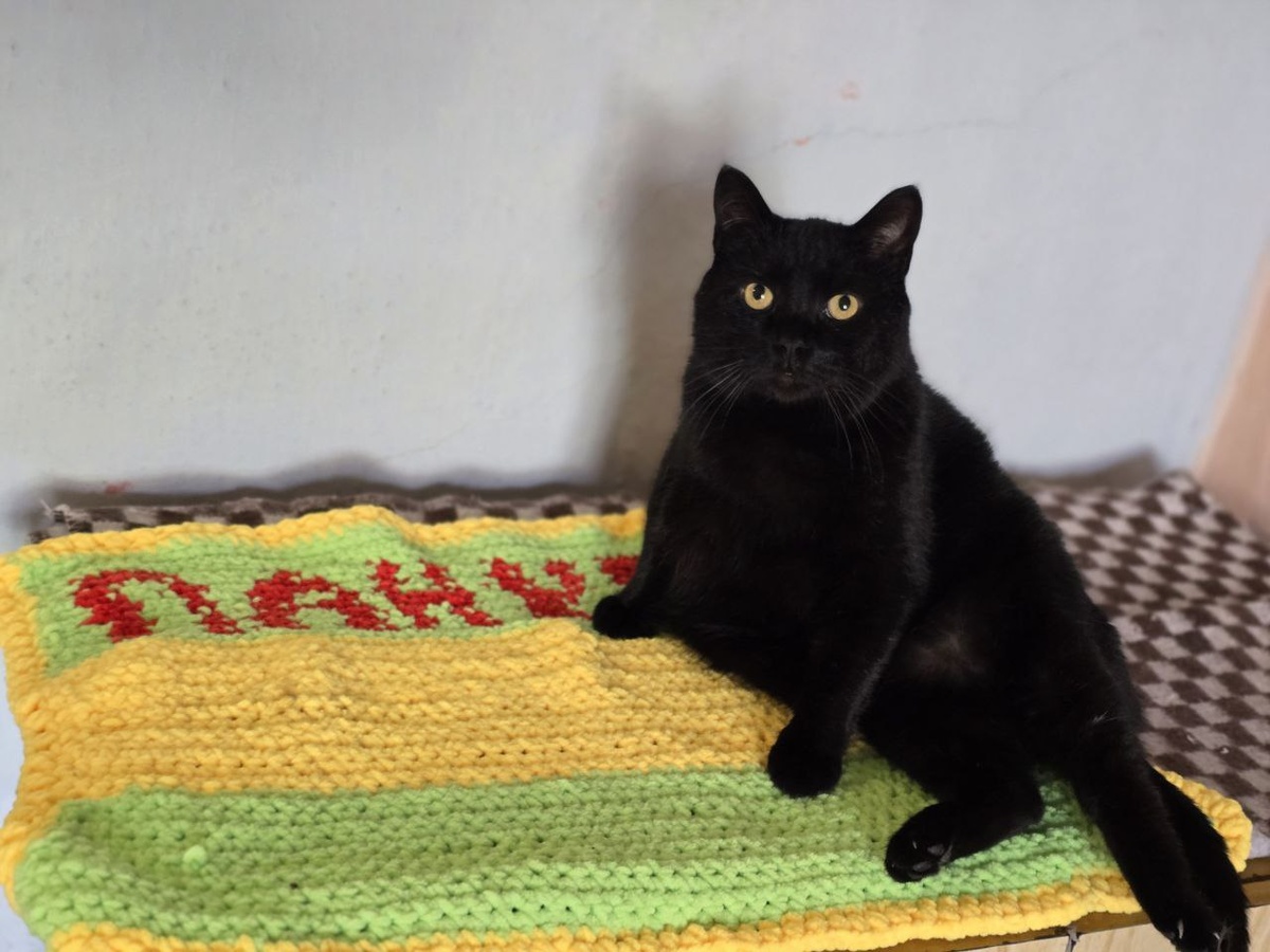 Он выбрал одиночество