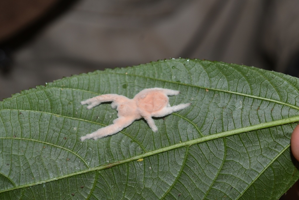 Фото из интернета 