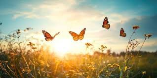 Изображение взято из открытого доступа