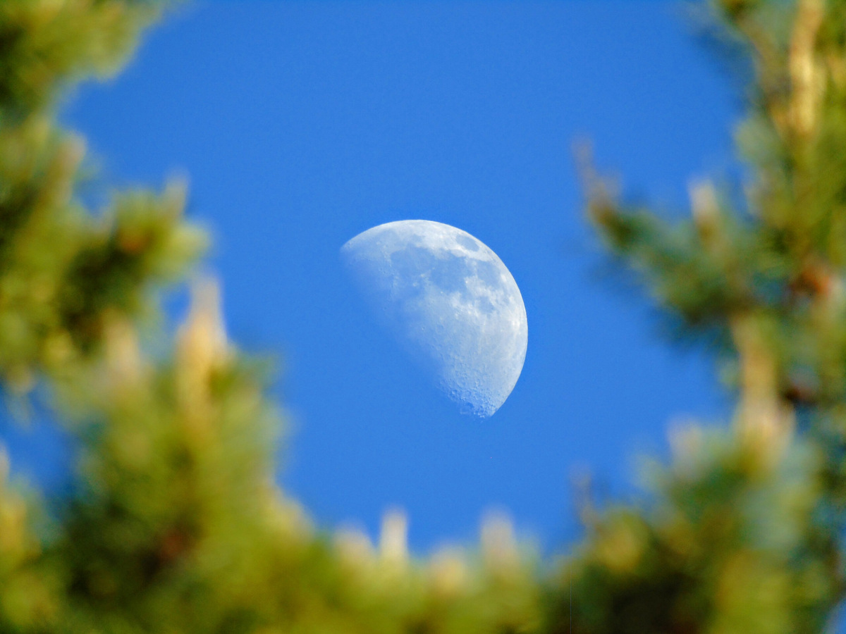    Луна днём — это вовсе не редкость, просто мы иногда не замечаем. Источник изображения: se7en.ws