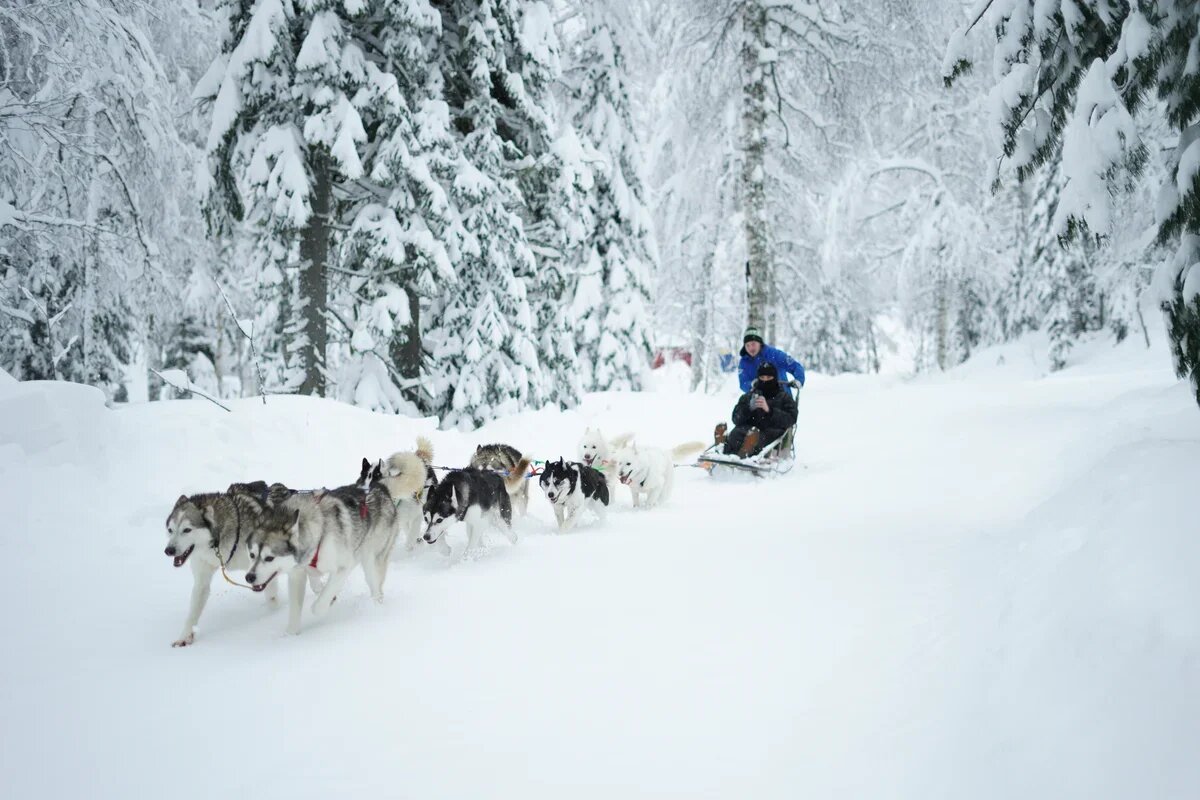    Хаски парк, сектор Е, Шерегеш. Фото: ГАУ "Агентство по туризму Кузбасса"