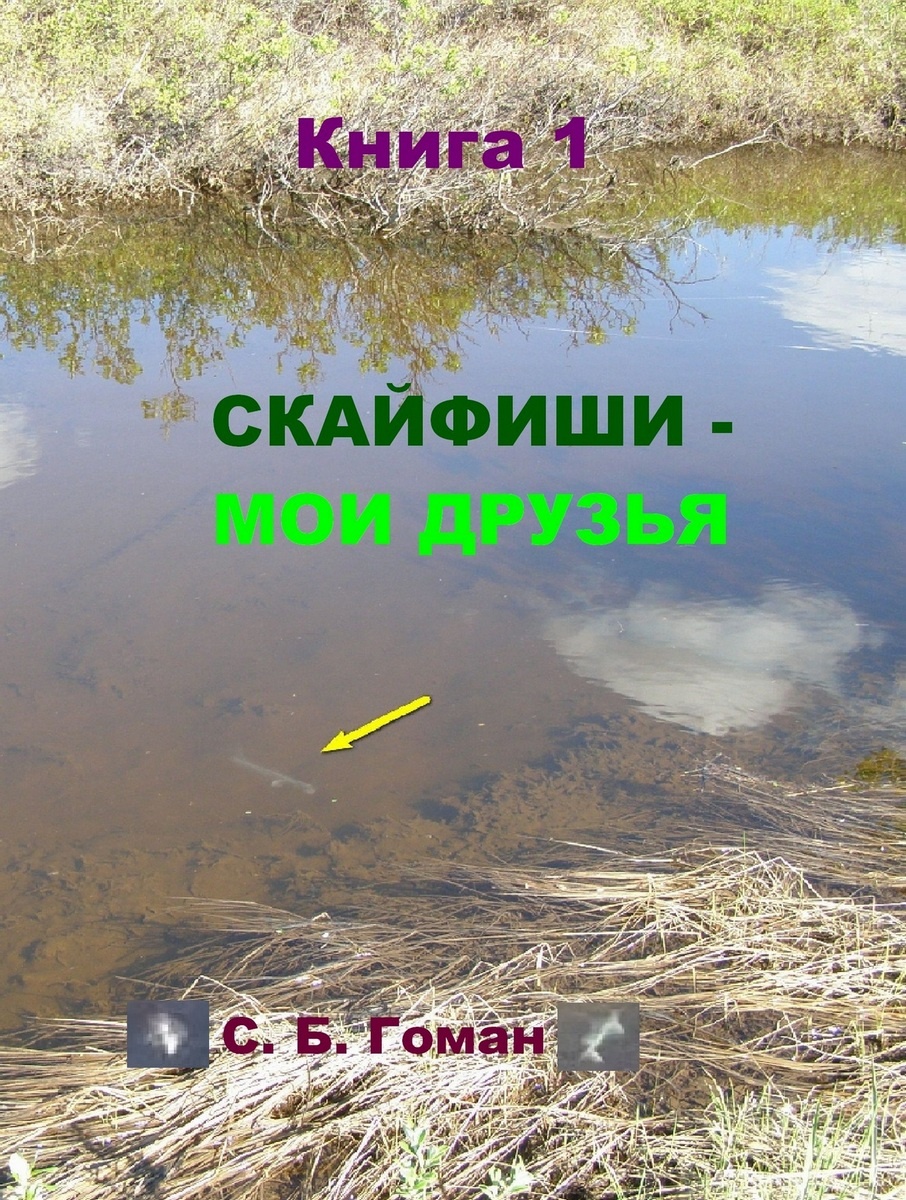 Книга  Скайфиши - мои друзья
